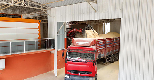 Ahşap Palet Fabrikası